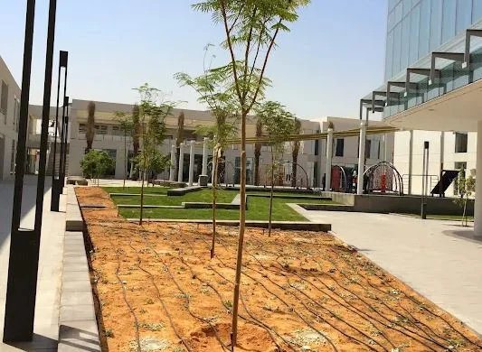 American International School